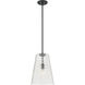 Saben 1 Light 11 inch Matte Black Pendant Ceiling Light